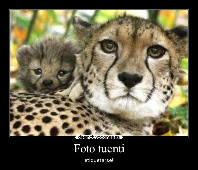 Foto tuenti - etiquetarse!!