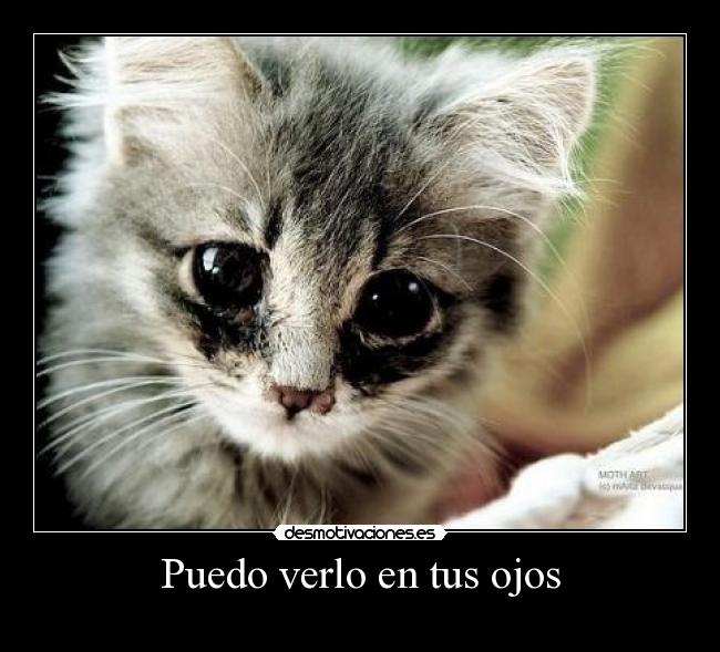 carteles eyes desmotivaciones