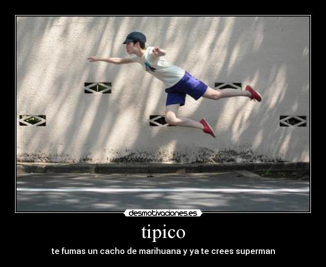 tipico -