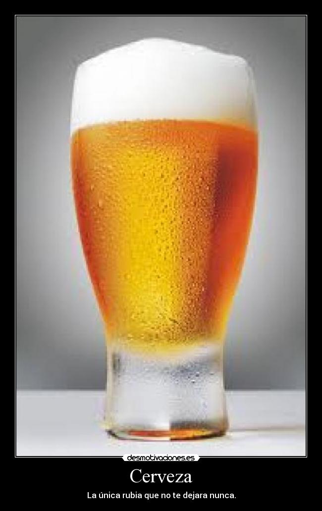 Cerveza - 