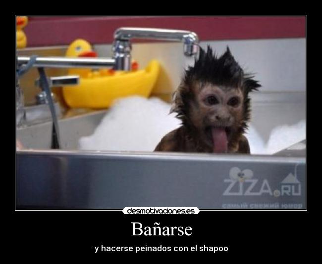 Bañarse - y hacerse peinados con el shapoo