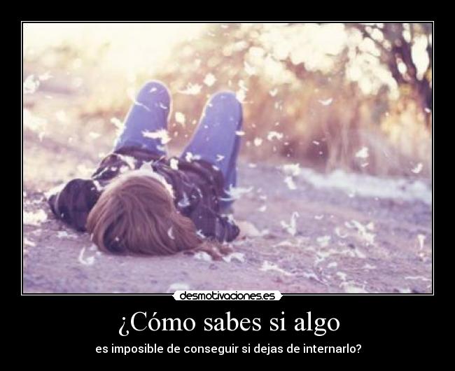 ¿Cómo sabes si algo -