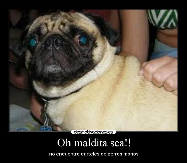 Oh maldita sea!! - no encuentro carteles de perros monos