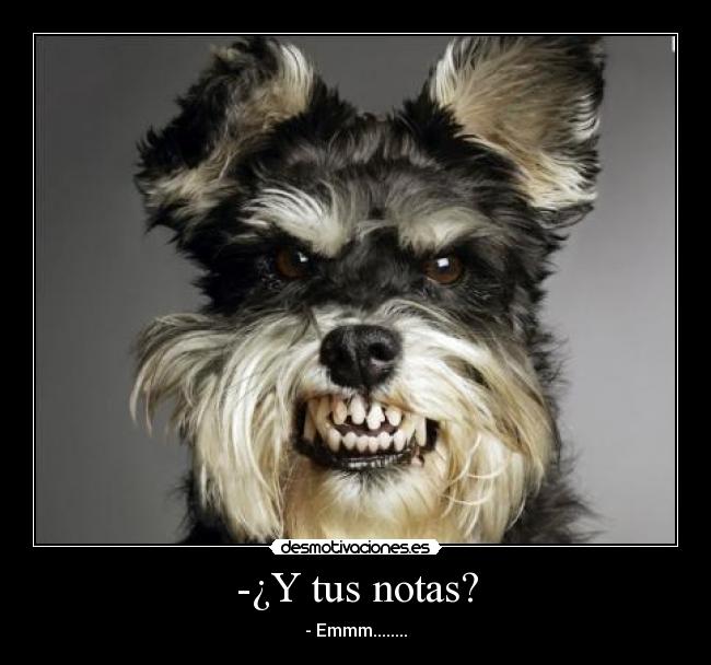 -¿Y tus notas? - - Emmm........