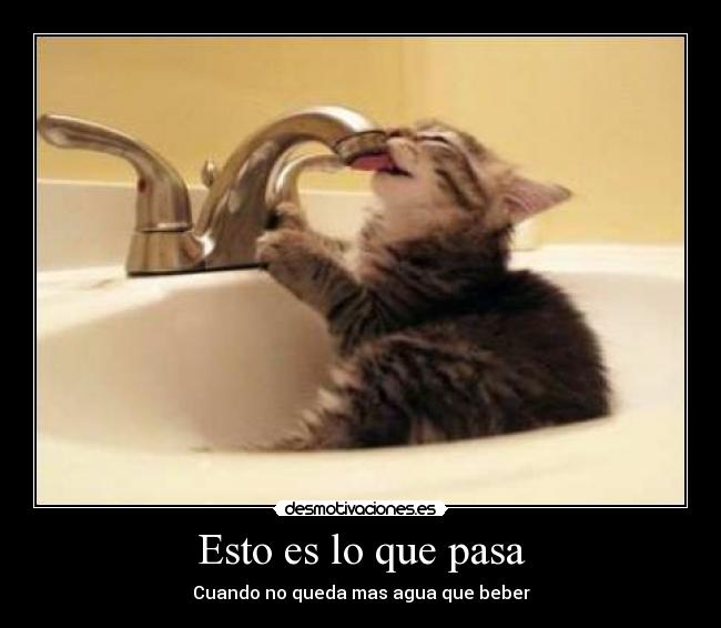 Esto es lo que pasa -