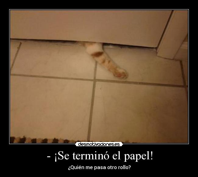 - ¡Se terminó el papel! -