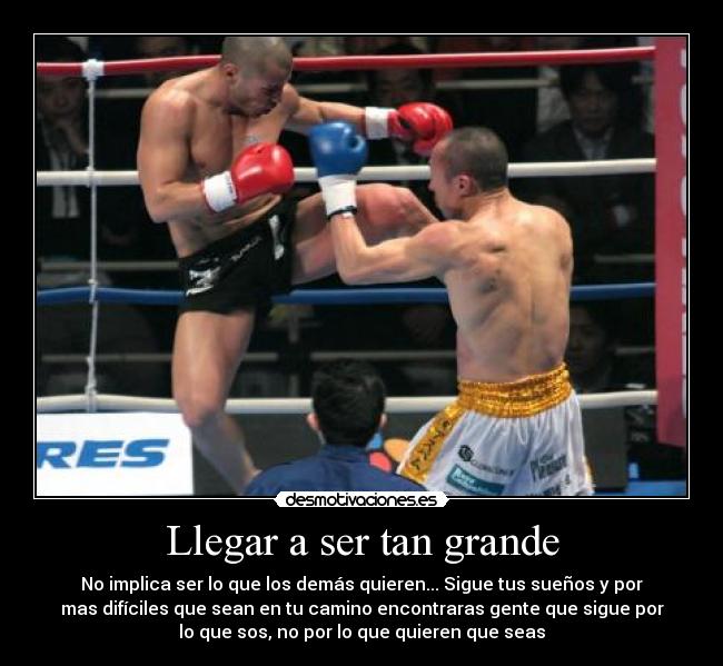 carteles ironmike desmotivaciones