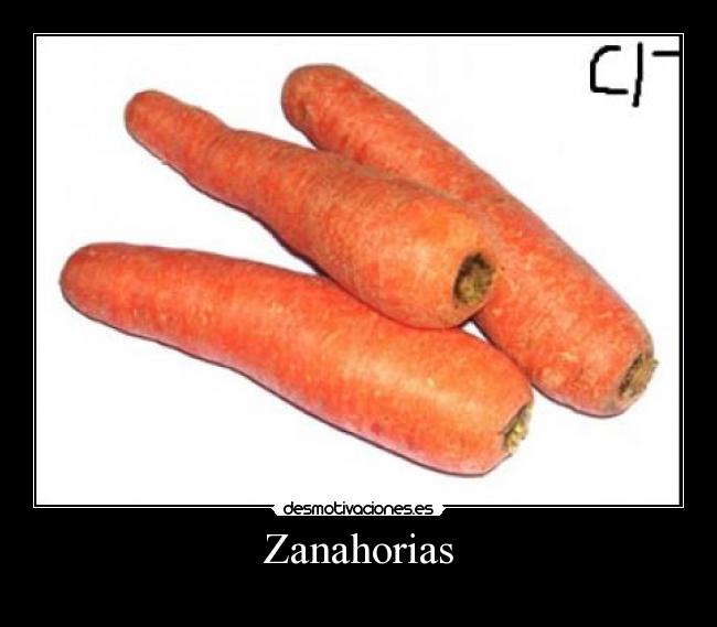 Zanahorias - 