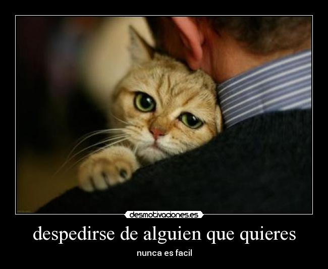 despedirse de alguien que quieres -
