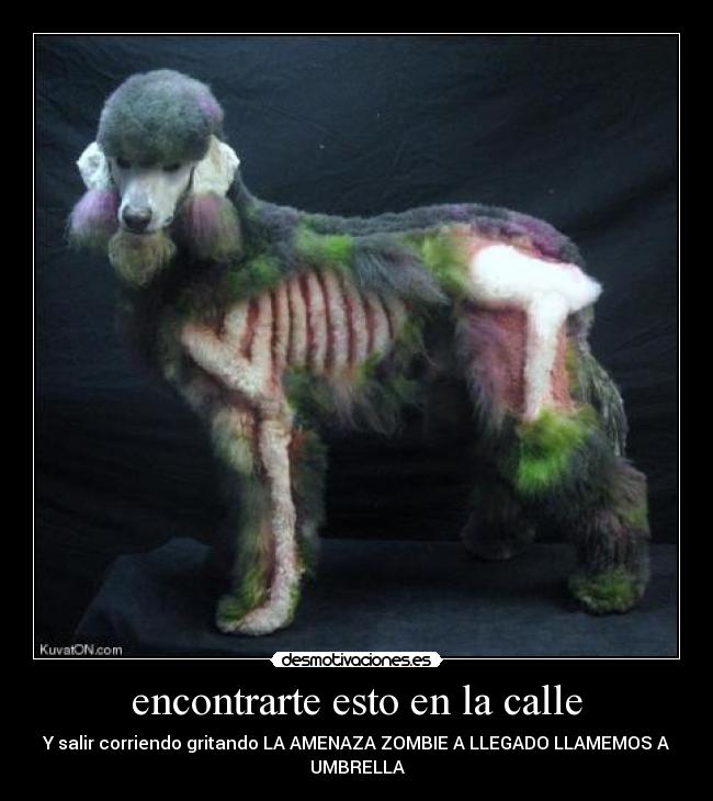 encontrarte esto en la calle - Y salir corriendo gritando LA AMENAZA ZOMBIE A LLEGADO LLAMEMOS A
UMBRELLA