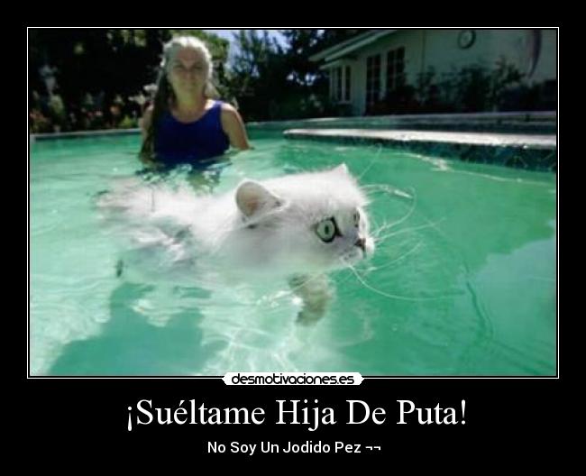 ¡Suéltame Hija De Puta! - No Soy Un Jodido Pez ¬¬