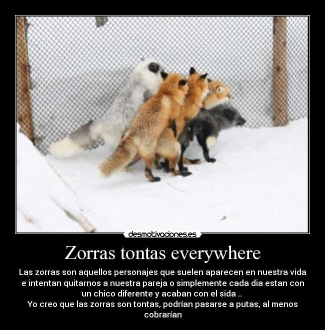 Zorras tontas everywhere - Las zorras son aquellos personajes que suelen aparecen en nuestra vida
e intentan quitarnos a nuestra pareja o simplemente cada dia estan con
un chico diferente y acaban con el sida .. 
Yo creo que las zorras son tontas, podrían pasarse a putas, al menos
cobrarían