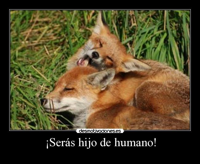 ¡Serás hijo de humano! -