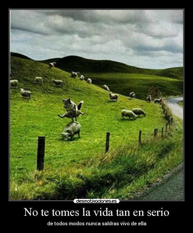 No te tomes la vida tan en serio - de todos modos nunca saldras vivo de ella