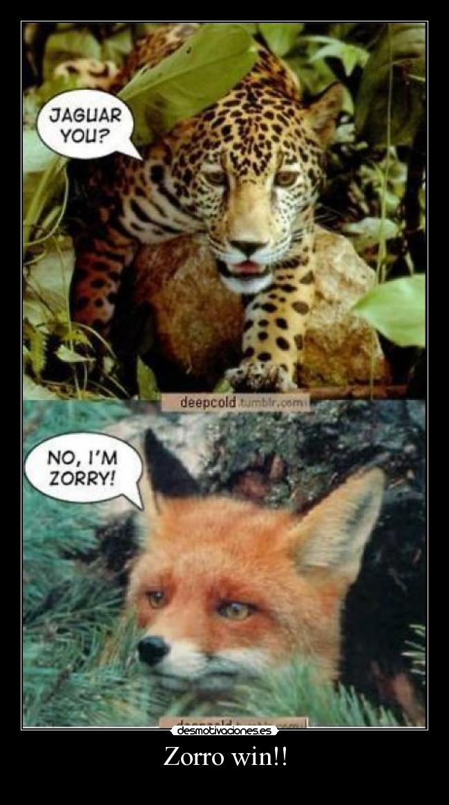 Zorro win!! - 