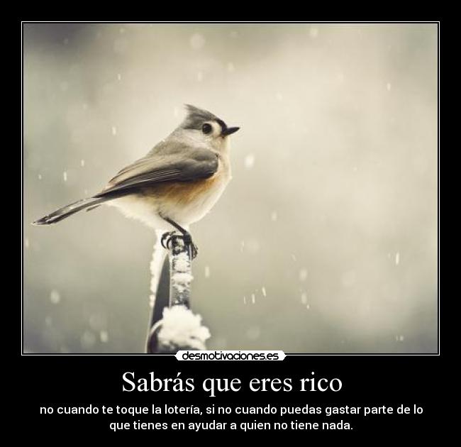 Sabrás que eres rico -