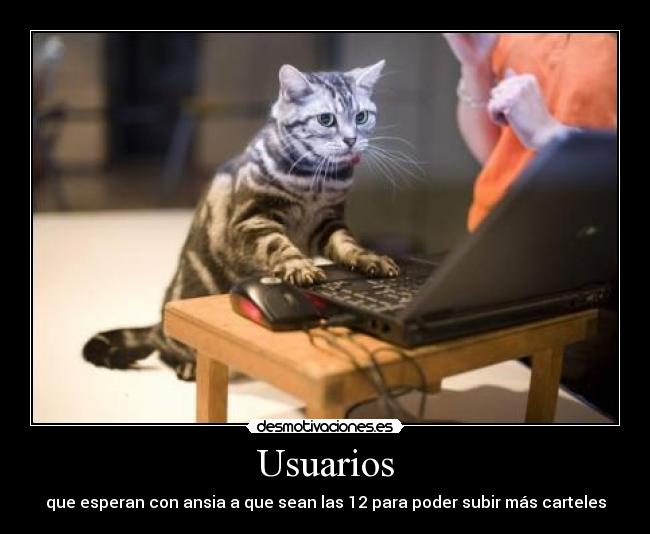 Usuarios - 