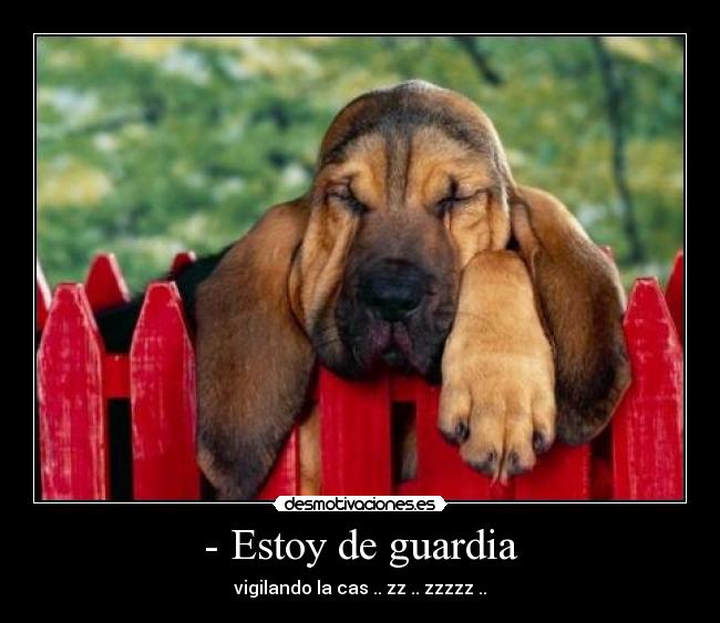 - Estoy de guardia - vigilando la cas .. zz .. zzzzz ..