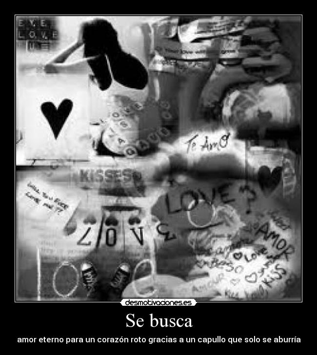 Se busca - amor eterno para un corazón roto gracias a un capullo que solo se aburría