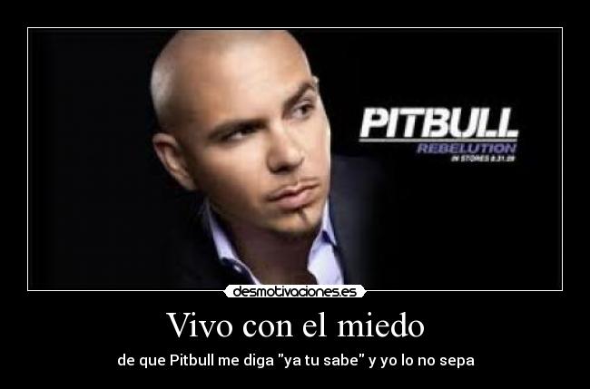 Vivo con el miedo - de que Pitbull me diga ya tu sabe y yo lo no sepa