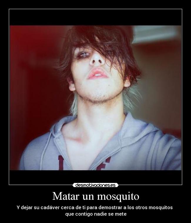 carteles ahahha esos mosquitos sabran quien jefe verdad intruders lol desmotivaciones