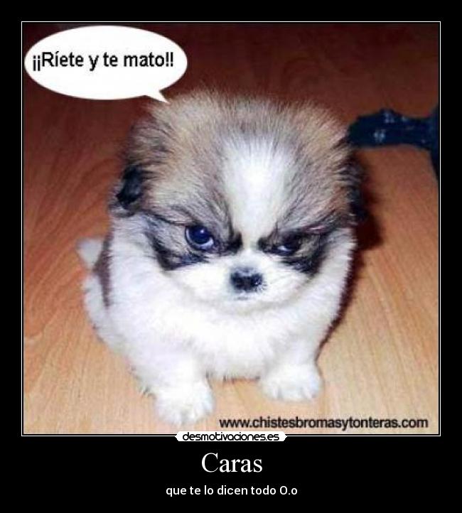 Caras - que te lo dicen todo O.o
