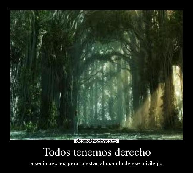 Todos tenemos derecho -