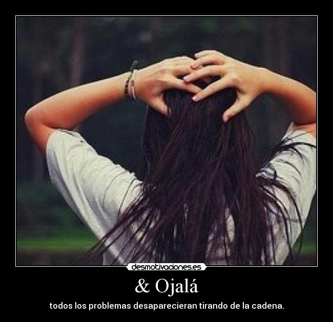 & Ojalá - todos los problemas desaparecieran tirando de la cadena.