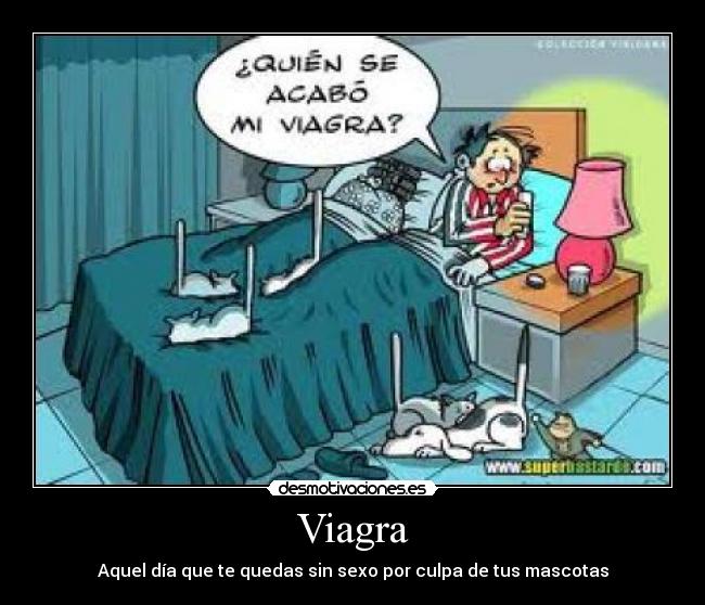 Viagra - Aquel día que te quedas sin sexo por culpa de tus mascotas