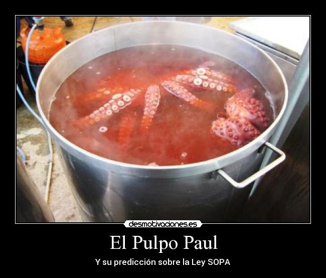 carteles pulpo sopa desmotivaciones