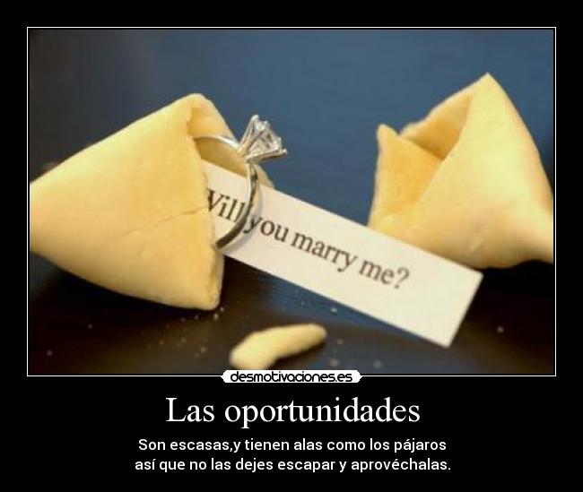 Las oportunidades - 