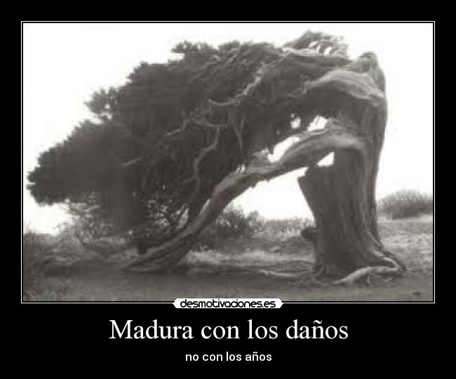 Madura con los daños - no con los años