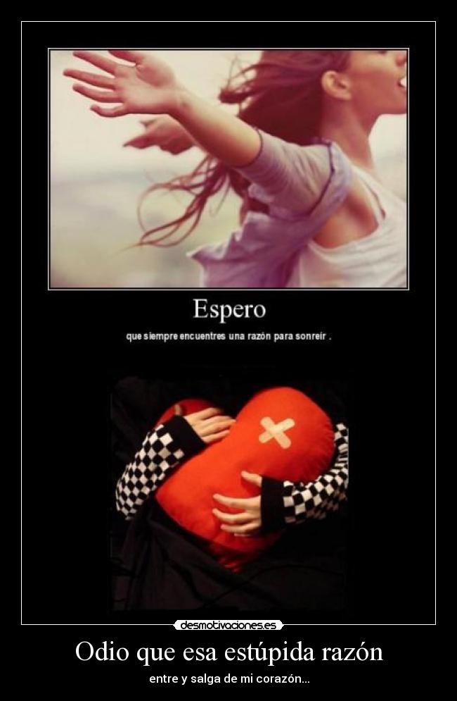 Odio que esa estúpida razón - entre y salga de mi corazón...