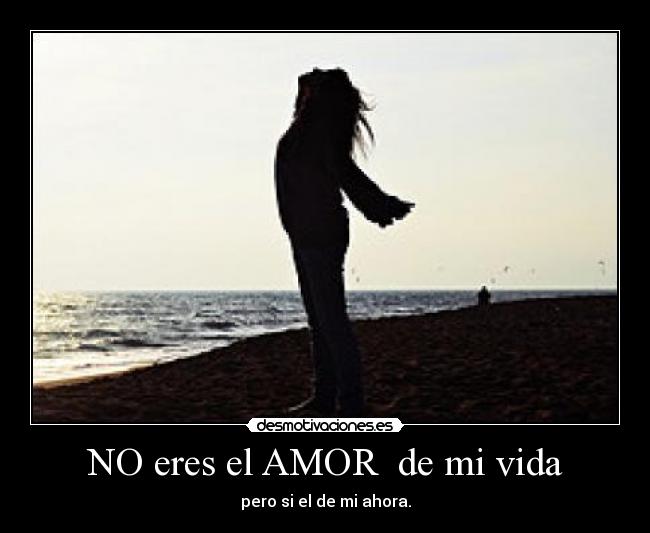 NO eres el AMOR de mi vida -