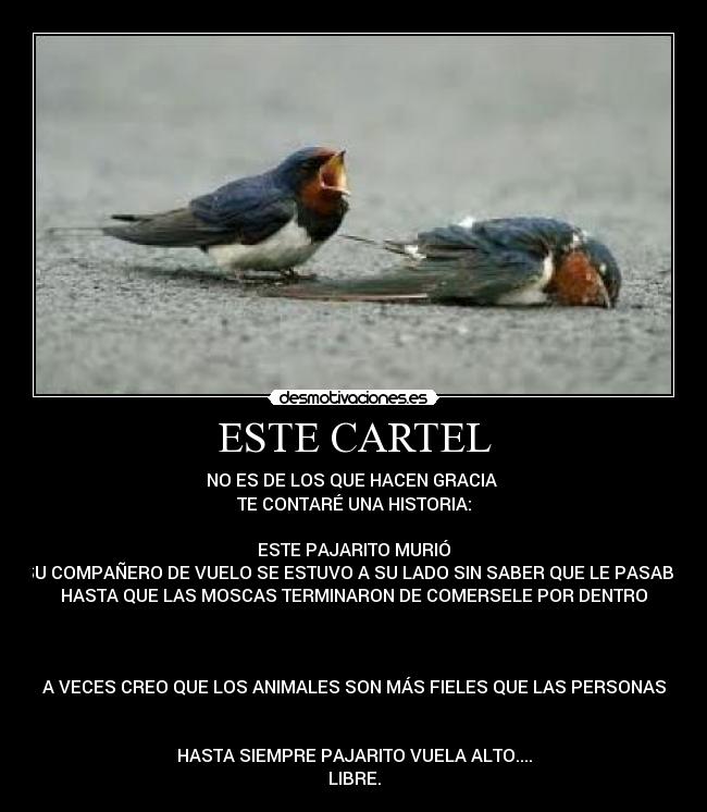 carteles desmotiva desmotivaciones