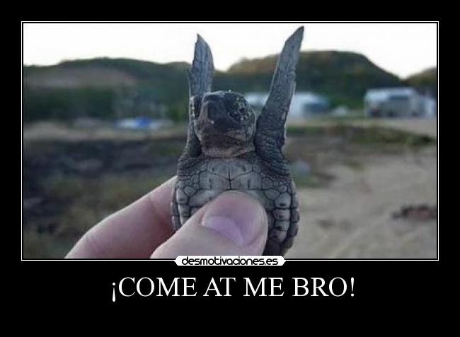 ¡COME AT ME BRO! -
