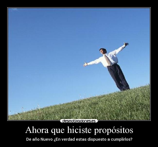 carteles ano nuevo propositos desmotivaciones