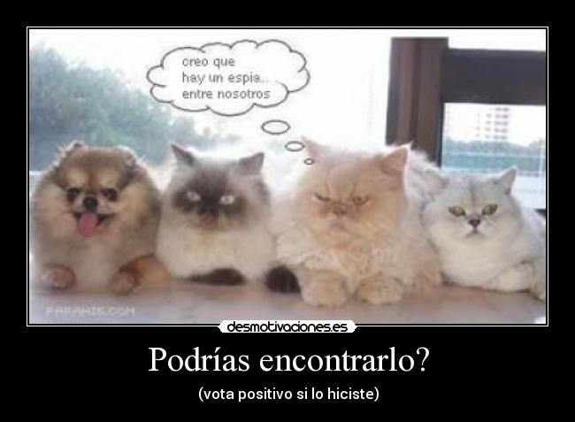 Podrías encontrarlo? - (vota positivo si lo hiciste)