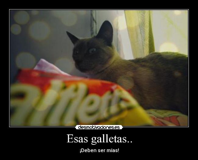 carteles perla desmotivaciones