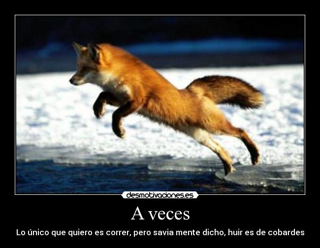 carteles veces desmotivaciones