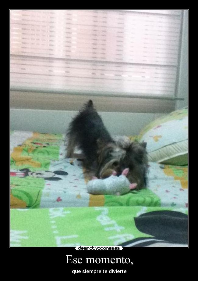 Ese momento, - que siempre te divierte