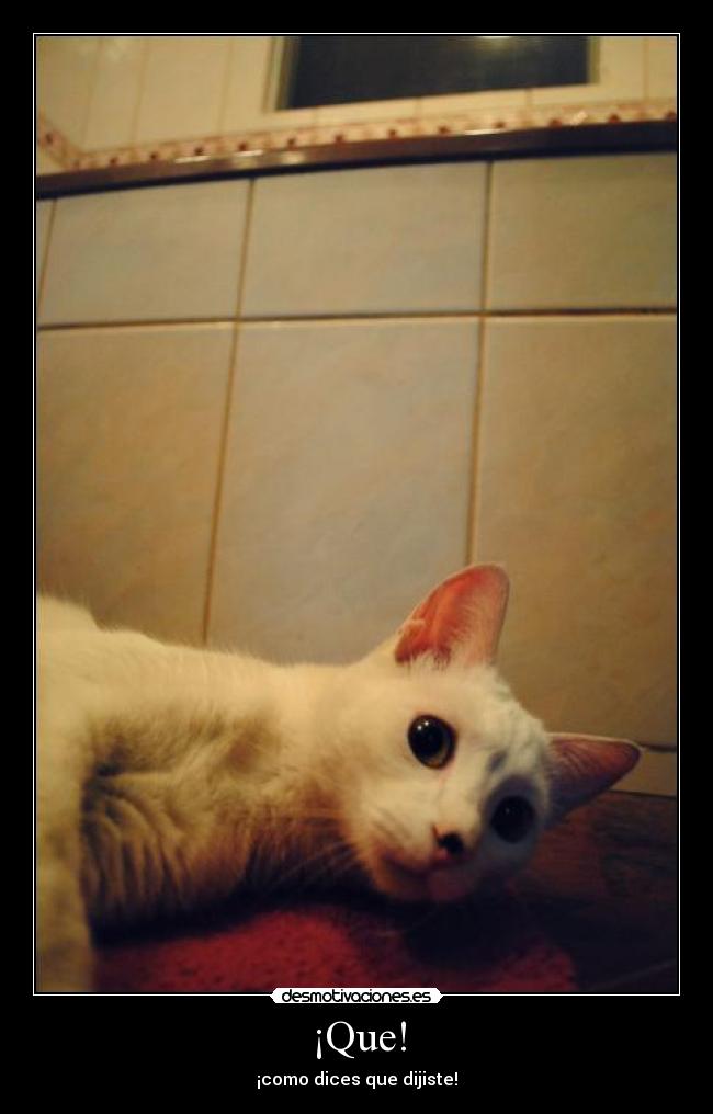 ¡Que! -