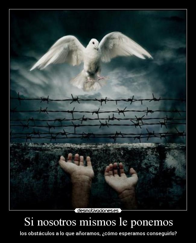 Si nosotros mismos le ponemos -