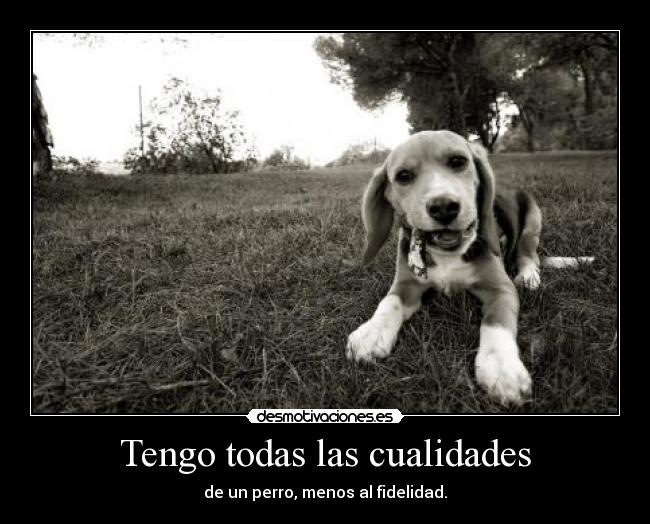 Tengo todas las cualidades - 
