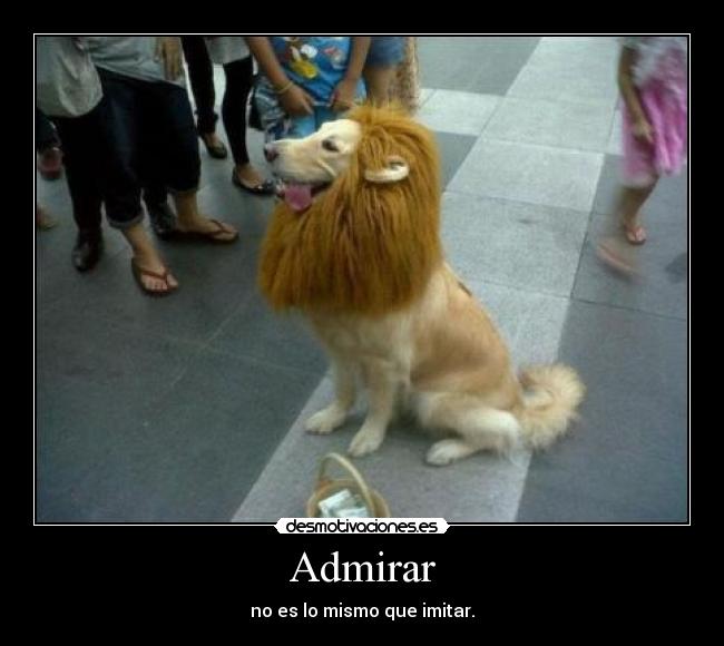 Admirar -