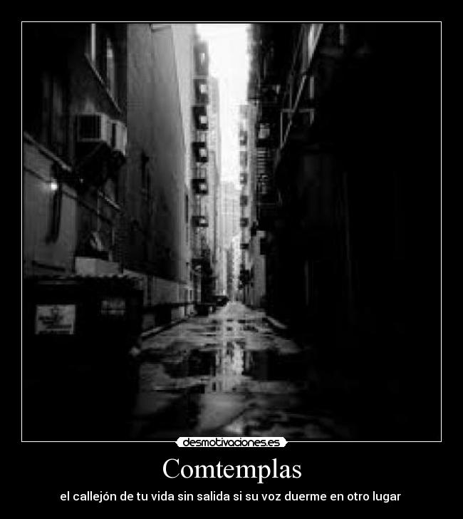 Comtemplas - el callejón de tu vida sin salida si su voz duerme en otro lugar 