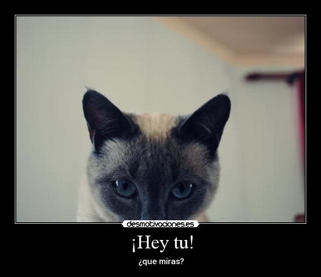 ¡Hey tu! -