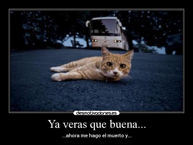Ya veras que buena... - ...ahora me hago el muerto y...