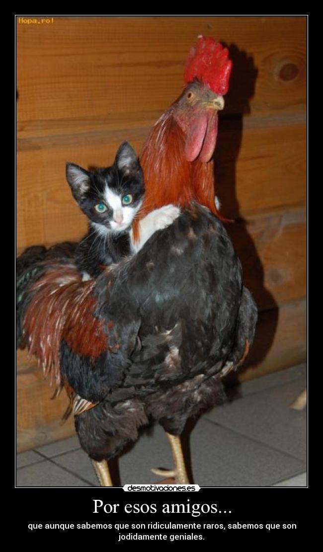 Por esos amigos... -