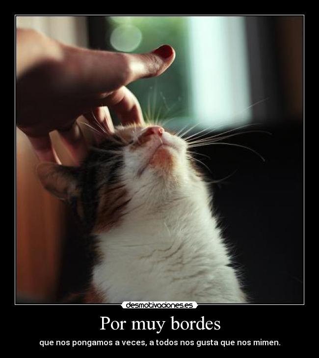 Por muy bordes -